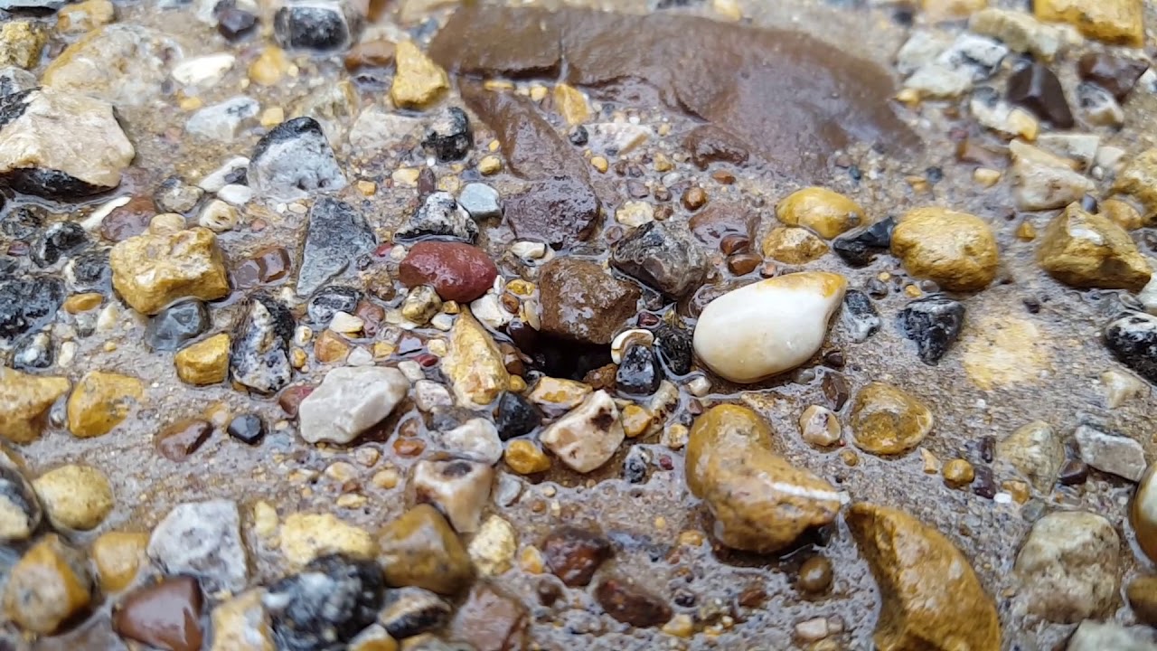 hunting simulator pc Air bubbling up through trail after very heavy rain