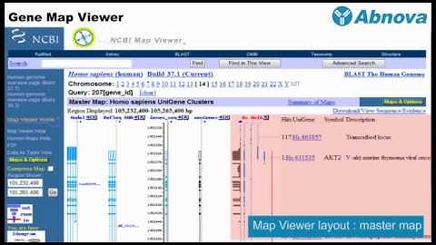 Gene Map Viewer