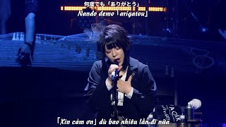 (Vietsub) ブルーデイジー - Blue daisy / Wagakki band