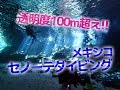 透明度100m越え！メキシコ セノーテでダイビング！
