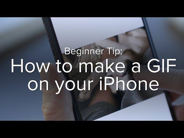 How to Make a GIF (iPhone, Android, Photoshop and More)