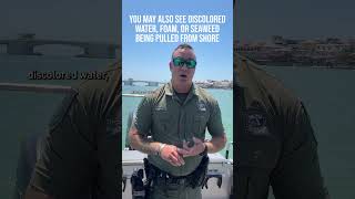 🦈 Wait it isn't 🦈s?? #marineunit #floridasheriff #ripcurrent