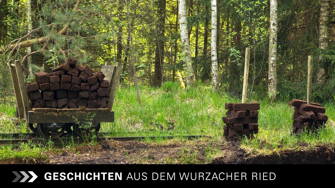 GESCHICHTEN AUS DEM WURZACHER RIED (1999)