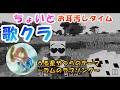 【歌クラ】うる星やつらのテーマ~ラムのラブソング~