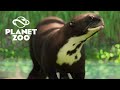 Planet Zoo - LIBERTANDO as ARIRANHAS na SELVA