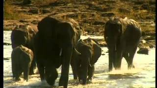 Tourism South Africa