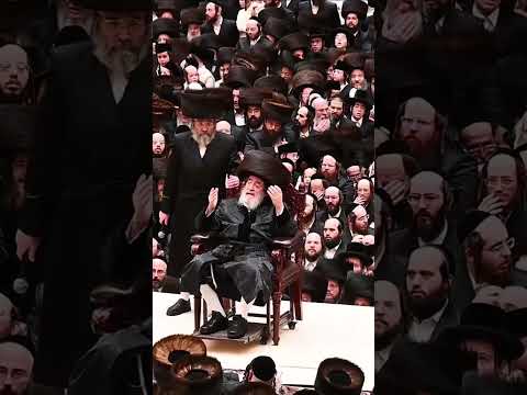 Viznitz Rebbe Historic Hachnosas Sefer Torah 2026