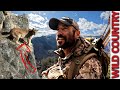 7 days in the wilderness  idaho spring bear hunting