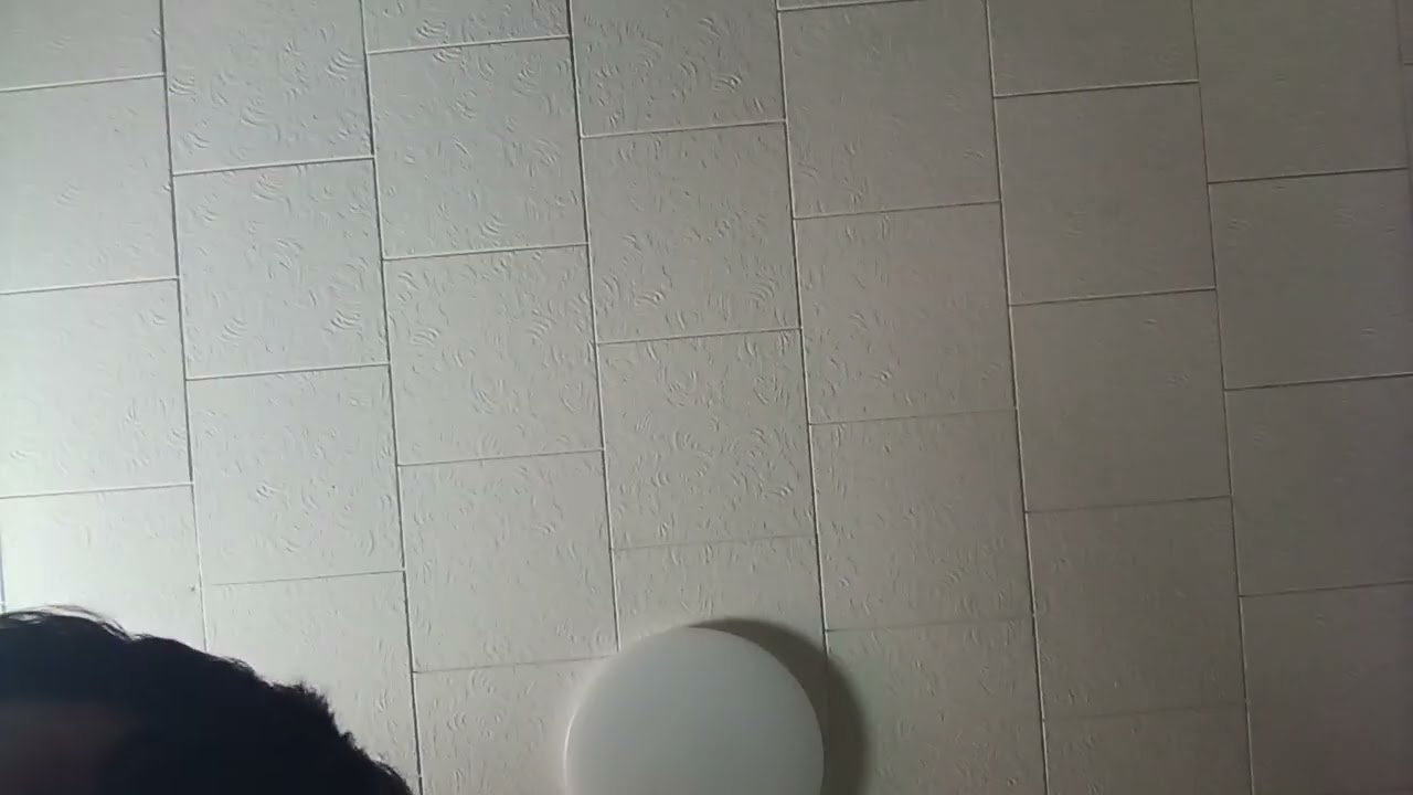 Straight Cut French Fries (Small) (Original) (1)