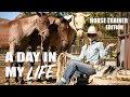 24 year old that trains horses for a living a day in the life full time horse trainer
