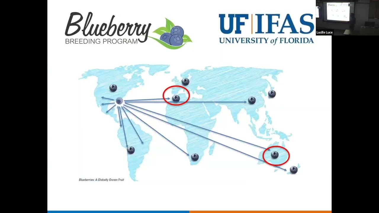 Patricio Munoz: Research of Breeding Approaches and Fruit Quality to Develop Better Blueberries