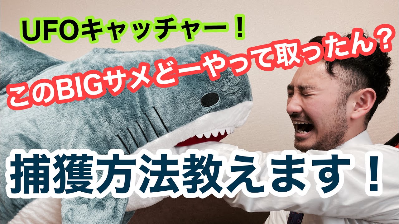 UFOキャッチャーで取ったもの紹介&実践］このサメの捕獲方法教えます