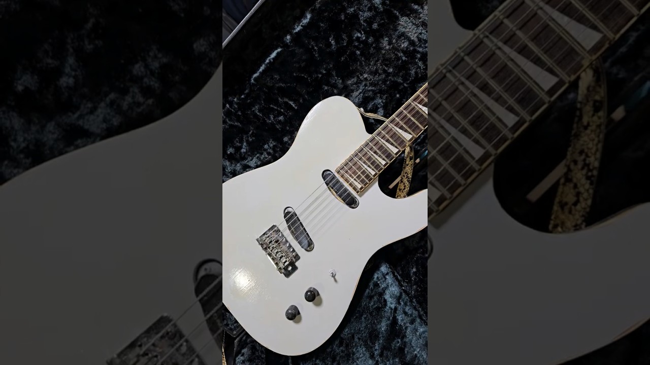 kissy's JUNK Guitar Collections】Fernandes TE-80BT！BUCK-TICK今井