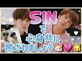 【BTS JIN】SINで心身共に癒されましょう🐹💗🐱