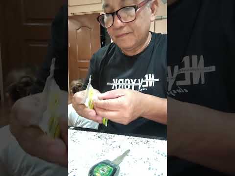 Suzuki Dzire / Key battery replaced