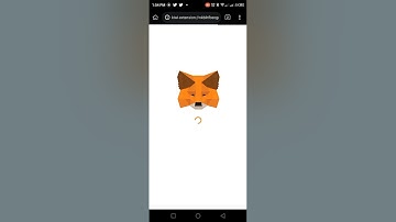 How to install metamask wallet extension into kiwi browser