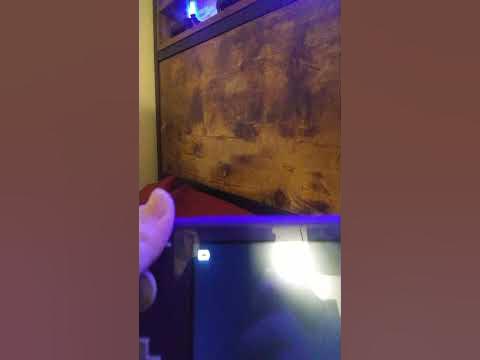 when your switch died - YouTube