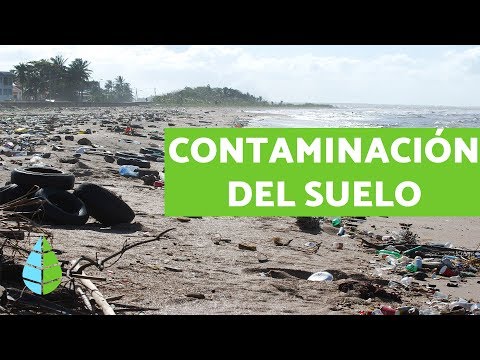 Video: Problemas modernos: contaminación y agotamiento del suelo