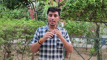 Building Allotment For F.Y Bcom ( Honours ) Students For MSU Baroda 2024 #msuniversity #msubaroda