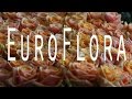 FAVOLOSA LIGURIA - GENOVA: EUROFLORA 2011 | UHD 4K |