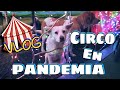 Circo En Pandemia 🎪 UN AÑO DESPUÉS DE ELLO. Villa Cuauhtémoc.🐎