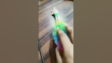 faster than flash #trollfaceedit #keşfet #trollface #funny #trolface #kesfet #hkqedits #ytshorts