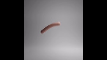 Tried to render a floppy sausage animation for future content