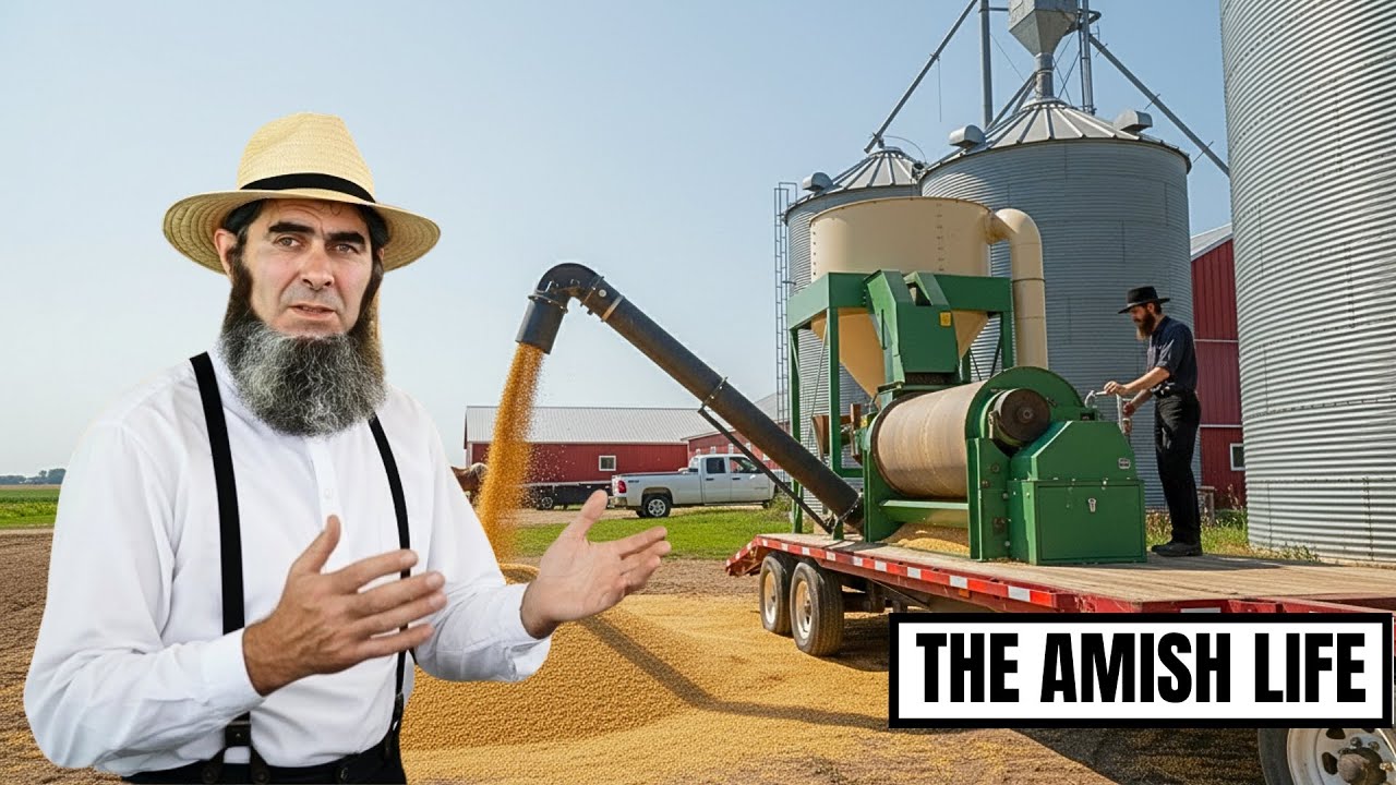 How Amish Profit $1,200/Acre on Soybeans While Modern Farmers Get $400? | The Amish Life