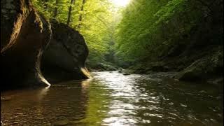 Beautiful River Relaxation Calms the Mind, Suitable for Study Background, Work, SPA, Sleep ASMR