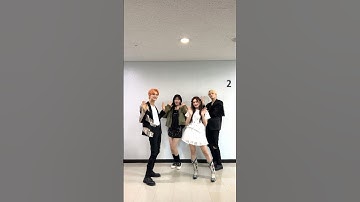 #배디챌린지 #투모로우바이투게더 #연준 #휴닝카이 #배디🐱 #이브 #아이브 #안유진 #이서