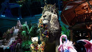 BELLAGIO CONSERVATORY & BOTANICAL GARDENS SUMMER DISPLAY AT NIGHT: JUNGLE OF DREAMS! (4K)