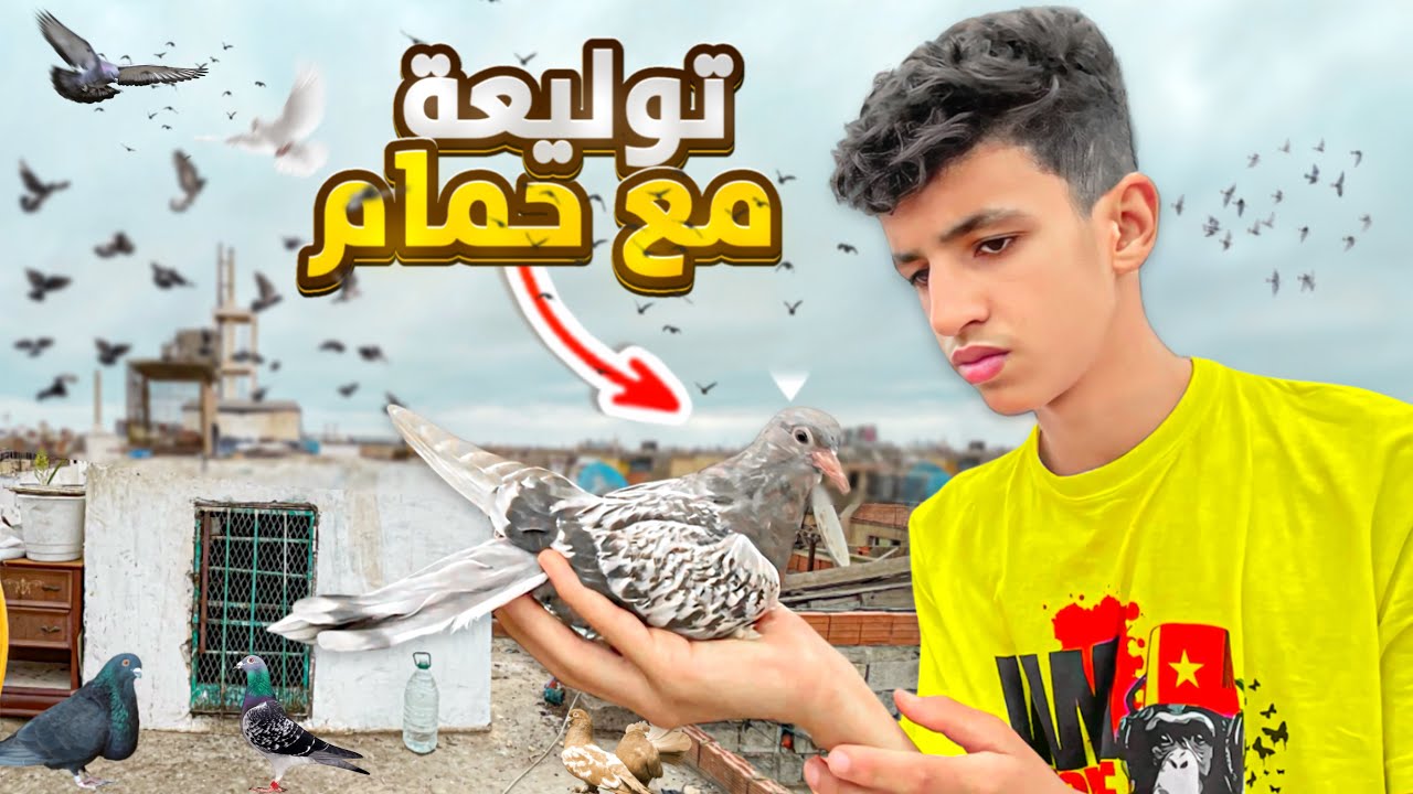 دوزت أحسن نهار: في توليعة مع الحمام🕊️الزاجل وسيفيانوس😍و الزغاليل 🐣