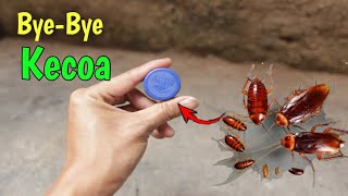 Kenapa Tidak dari dulu buat perangkap kecoa seperti ini , auto musnah kecoa dirumah !!