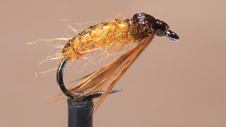 October Caddis Pupa