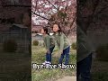 倍賞美津子が猪木で、倍賞千恵子が男はつらいよ #shorts