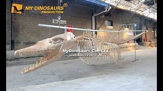 Marine Animal Fossil 10M Basilosaurus Skeleton