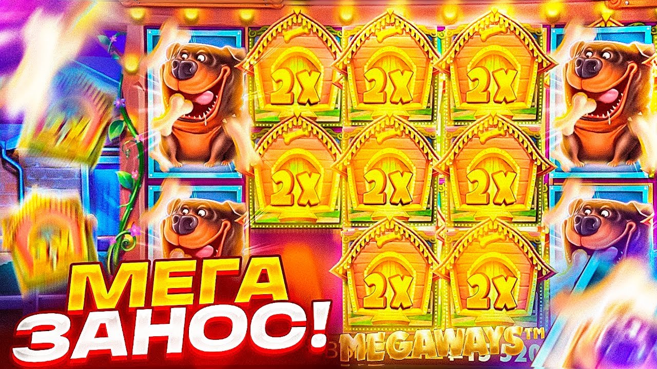 ЛУЧШАЯ И САМАЯ ЗАНОСНАЯ СЕССИЯ В ОБЫЧНОМ The Dog House / ТОПОВЫЙ ЗАНОС НЕДЕЛИ В СОБАКАХ