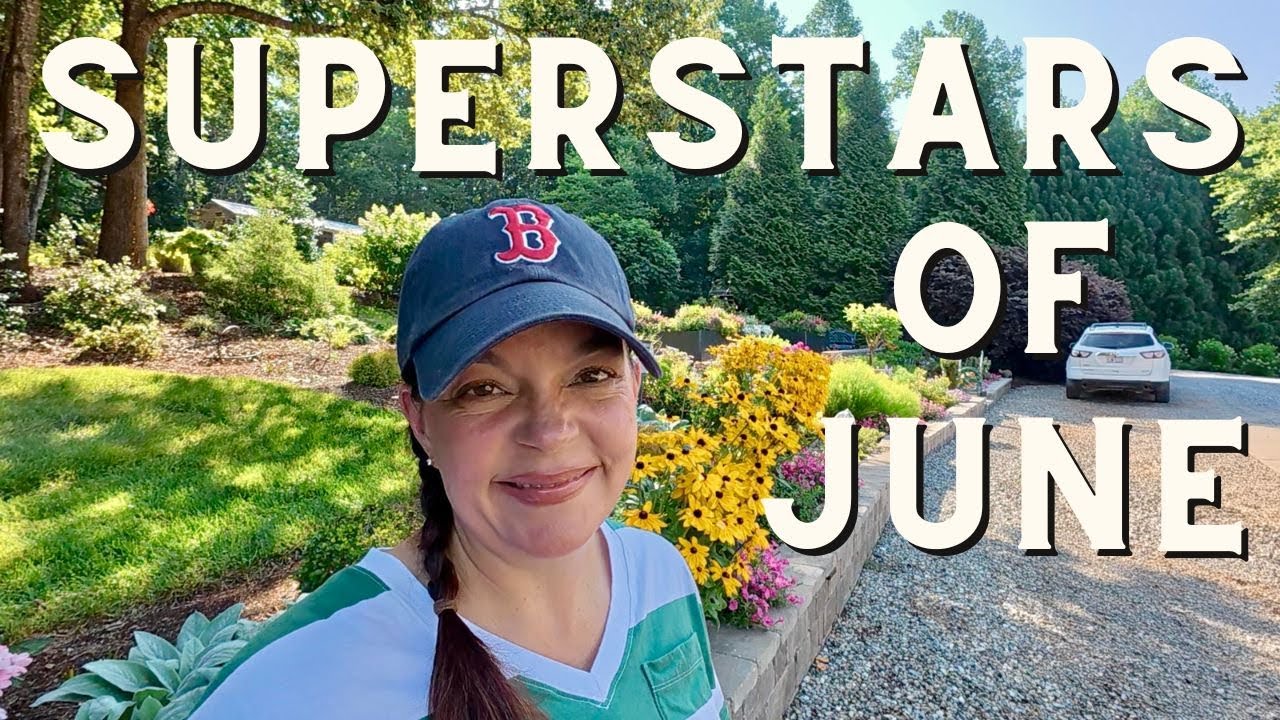 Flower Power!  My Garden's June Superstars