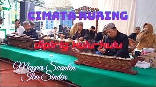 Download Lagu CIMATA KURING DIPIRIG KULU-KULU MANI NYEREDET KANA HATE NEMBUS KANA JAJANTUNG MP3