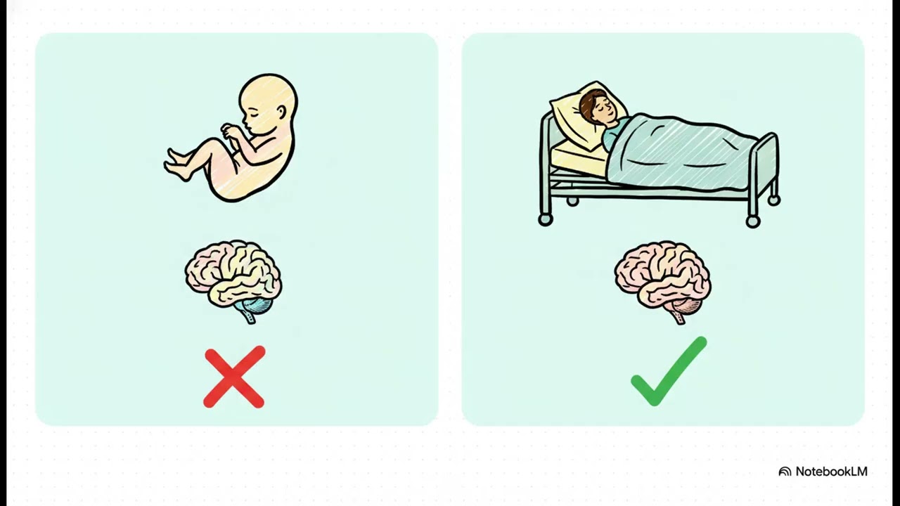 Le fœtus est-il (vraiment) ce que l'on croit ? L'analyse logique sans tabou.