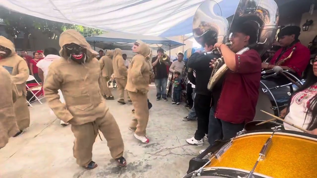 La danza de (Los costales SPC) con los amigos la banda Renacimiento de San Juan el bautista 