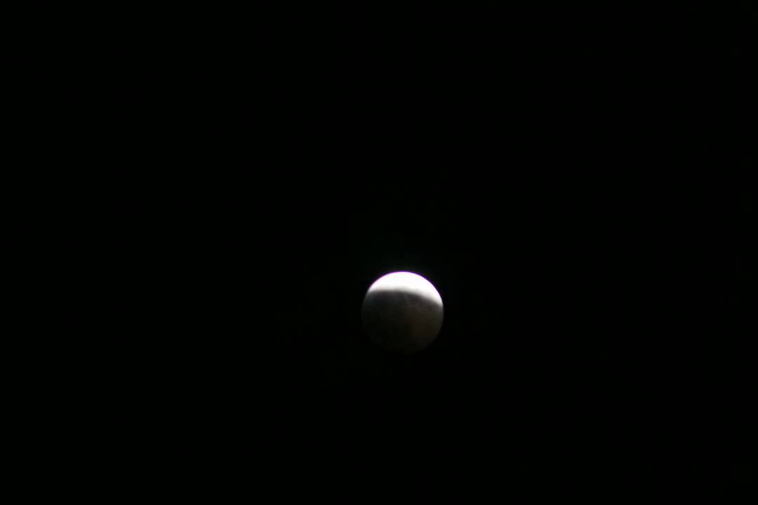 Lunar Eclipse 2010 (uncorrected footage)