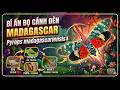 Bọ cánh đèn Madagascar Madagascar Lanternfly Pyrops madagascariensis