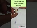 Blue Litmus Turns Red?! 👀 Chemistry Experiment | Acidic Nature of CO₂ Demonstration | CBSE Science