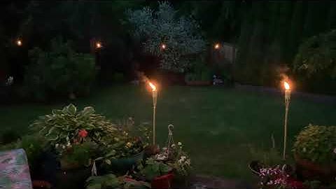 Backyard. Ideas with gazebo and string lights