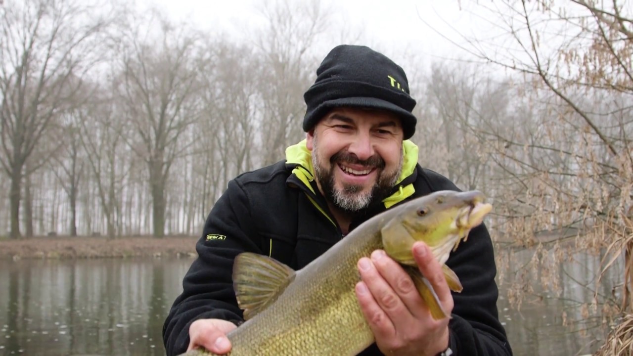 Barbi e Breme a Bolognese sul Mincio (Tubertini)