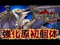 『烈禍MR原初を刻むメル・ゼナ』で対策スキルを積むもすでに対策されており困惑する抹茶【サンブレイク/PC版】