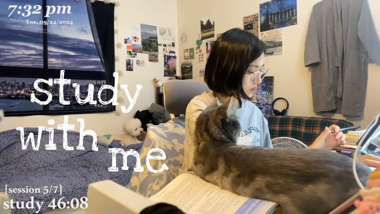 LIVE study with me/ 스터디윗미📚/ pomodoro 60-10/ 천둥 빗소리asmr