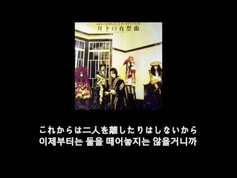 Malice mizer - 月下の夜想曲 월하의 야상곡 가사 한글 자막 lyric