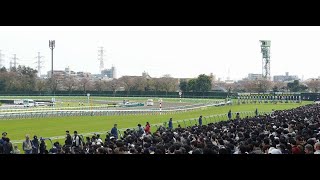 競馬場